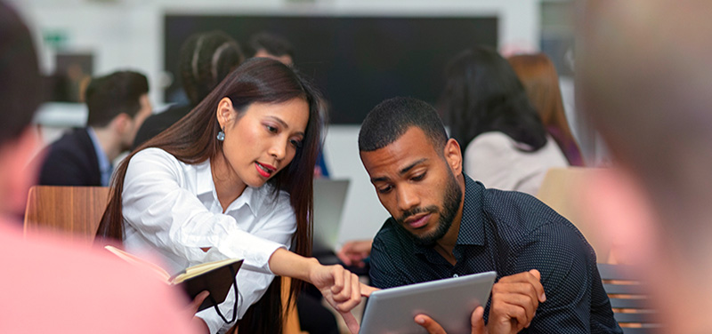 Découvrez toutes nos formations